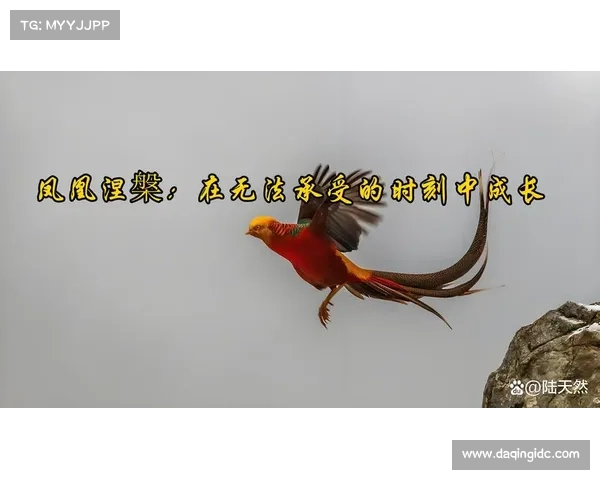 极火神攻略:炼狱淬炼,涅槃重生 极火神攻略:炼狱淬炼,涅槃重生